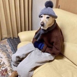 Meet your Posher, Nobody